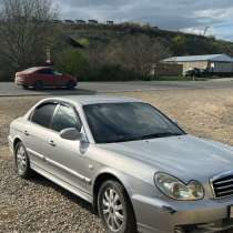 Афто идеал, в Махачкале