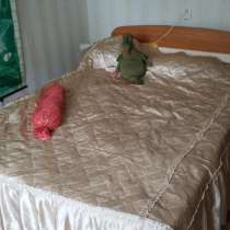 Продаю большую квартиру, в Красном Сулине