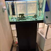 Аквариум для рыбок!, в Москве