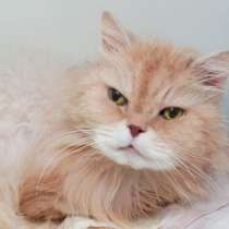 Вы запомните Тома на всю жизнь, в Москве