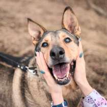 Большой добрый Борман ищет семью, в Москве