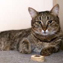 Монтана в поисках надежного и понимающего друга, в Москве