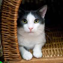 Обаятельный Лесик ждет встречи со своим человеком, в Москве