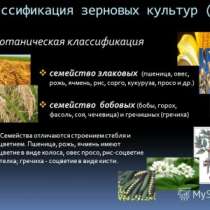 Зерно всех видов, в Казани