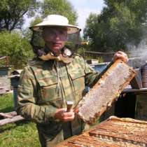 мёд цветочный 100% натуральный, в Кинешме