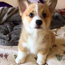 Когюрги Кызыл, в Кызыле