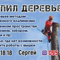 Валка, спил любых деревьев, в г.Донецк