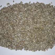 Семечка подсолнечника кондитерка калибр 4+ 25 кг, в г.Одесса