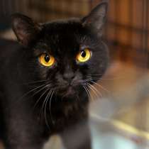 Добрая Ульяна ищет понимающего, душевного человека, в Москве