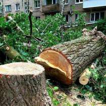 Спил дерево вивз отходов не дорого, в Ростове-на-Дону