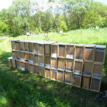 Пчелопакеты на весну 2018 года с доставкой, в г.Токмак