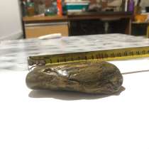 Натуральный камень, окаменелости, в Гулькевичах