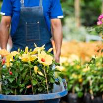 Garten- und Au&szlig;enpflege, в г.Альбштадт