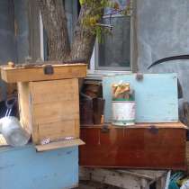 Пчеловоды: с пасекой, в Волгограде