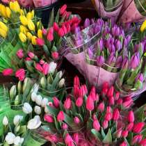 Тюльпаны оптом, в Ульяновске