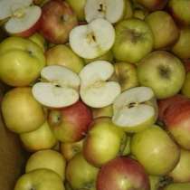 Яблоки оптом Краснодарские, в Москве