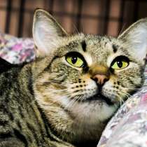 Почему судьба так жестока к Телле, в Москве