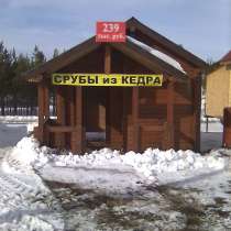 Проектируем, производим, строим деревянные дома, в Екатеринбурге