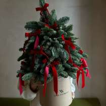 Елка из нобилиса ручной работы, в Красногорске