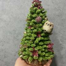 Новогодняя подделка, в Туймазах