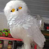 Декор сова, в Хабаровске