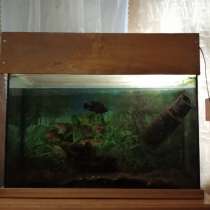 Продаётся аквариум, в Михайловке