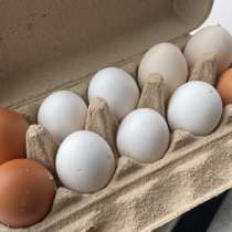 Яйца, в Набережных Челнах