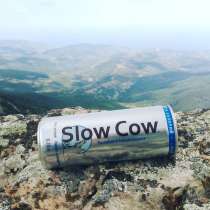 SLOW COW™ – безалкогольный функциональный напиток, в Москве
