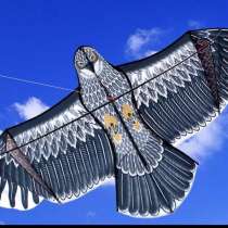 Воздушный змей орёл, в Москве