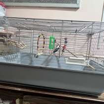 Клетка для птиц, в Москве