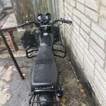 Орион, в Москве