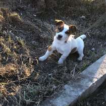 Вязка, в Омске