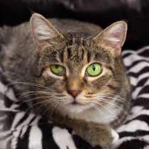 Милая Настенька ищет понимающего и доброго друга, в Москве