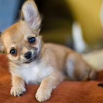 Курган Мурманск, в Мурманске