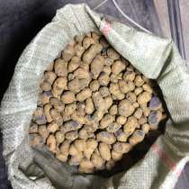 Продаю керамзит, в Москве