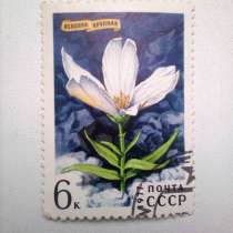 Марка 6к 1977 год СССР Ясколка Крупная, в Москве