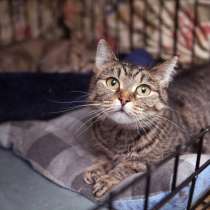 Благоразумная Малена в поисках чуткого друга, в Москве