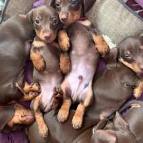 Такса Казань, в Казани