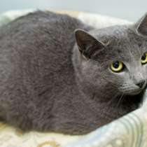 Скромная Пола мечтает о встрече со своим человеком, в Москве