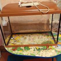 Аквариум для рыбок, в Санкт-Петербурге