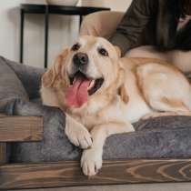 Лежанка для крупных собак с каркасом из дерева, в Москве