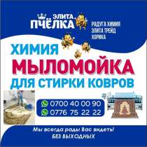 Мыломойка для стирки ковров. Химия, в г.Бишкек